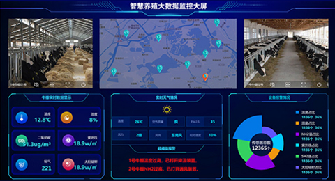 PAPAGO vehicle traveling data recorder full 1080 p hd - copy