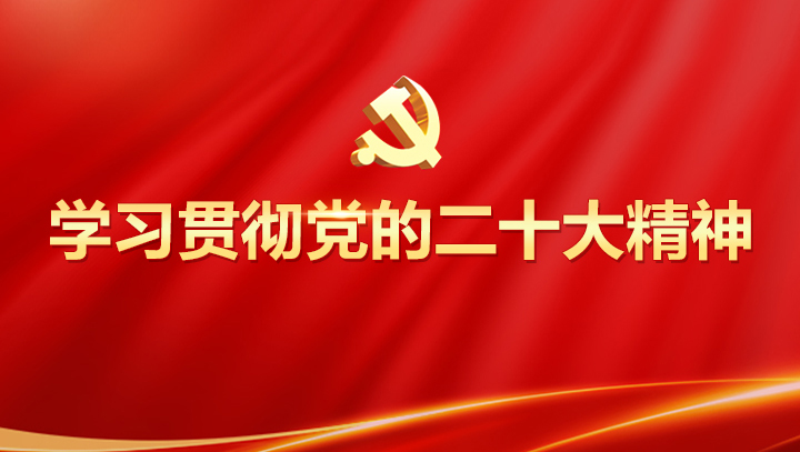 Study and implement the spirit of the 20th National Congress of the Communist Party of China